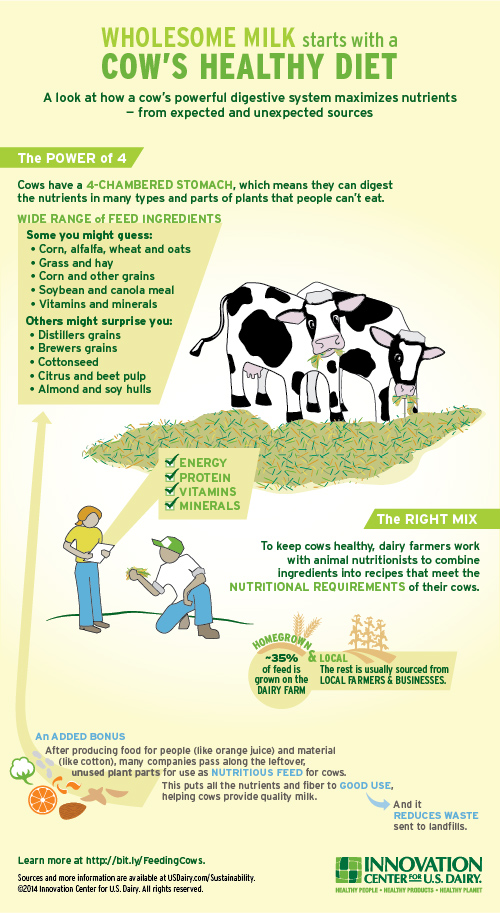 Wholesome Milk Starts With A Cow's Healthy Diet | U.S. Dairy