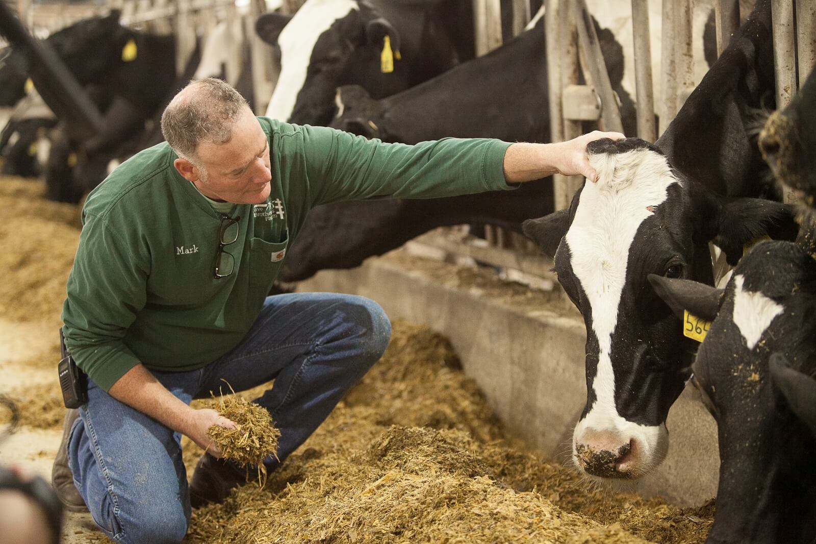 Evolving Sustainable Dairy Farming Practices | U.S. Dairy