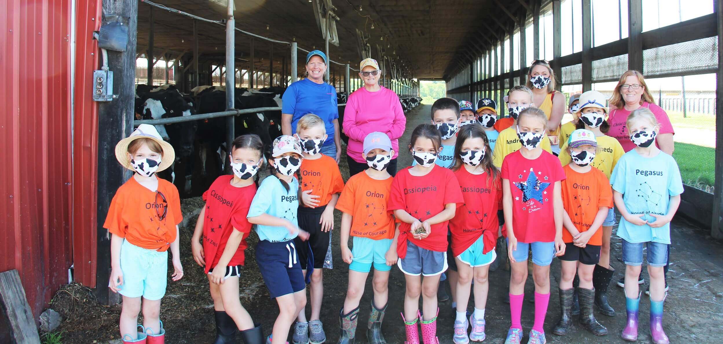 Checkoff Helps ‘Discover Dairy’ Connect Schools With Our Farms | U.S. Dairy