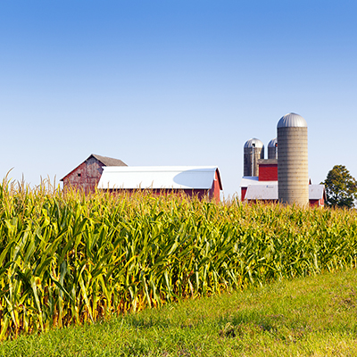 A Pile of Energy: How Cow Poop Becomes Power | U.S. Dairy