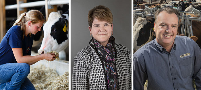 Sustainable Farming Is a Longtime Commitment of U.S. Dairy Farmers | U ...